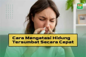 Hidung Tersumbat