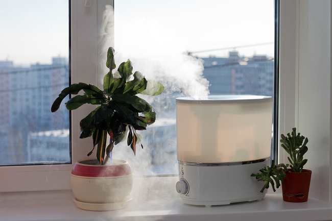 Gunakan Humidifier Untuk mengatasi Ingusan