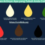 Warna Ingus dan Artinya Apa yang Tubuh Anda Coba Sampaikan